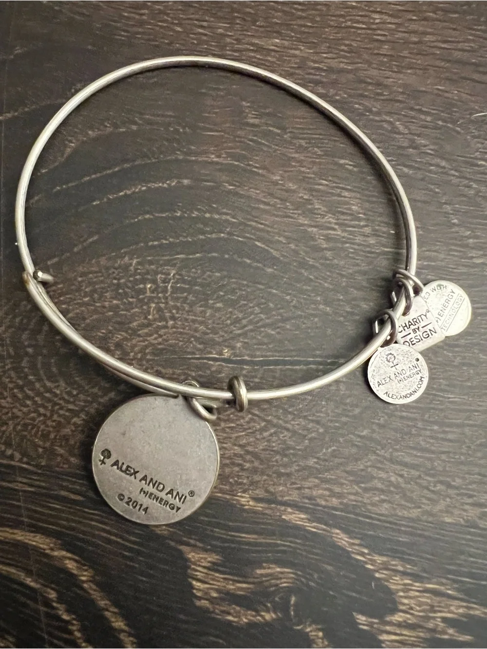 Alex and Ani Silver Tone Stackable Charm Bangle Bracelets Set of 9